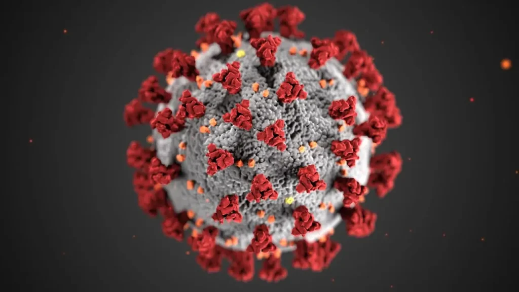 Epstein-Barr Virus